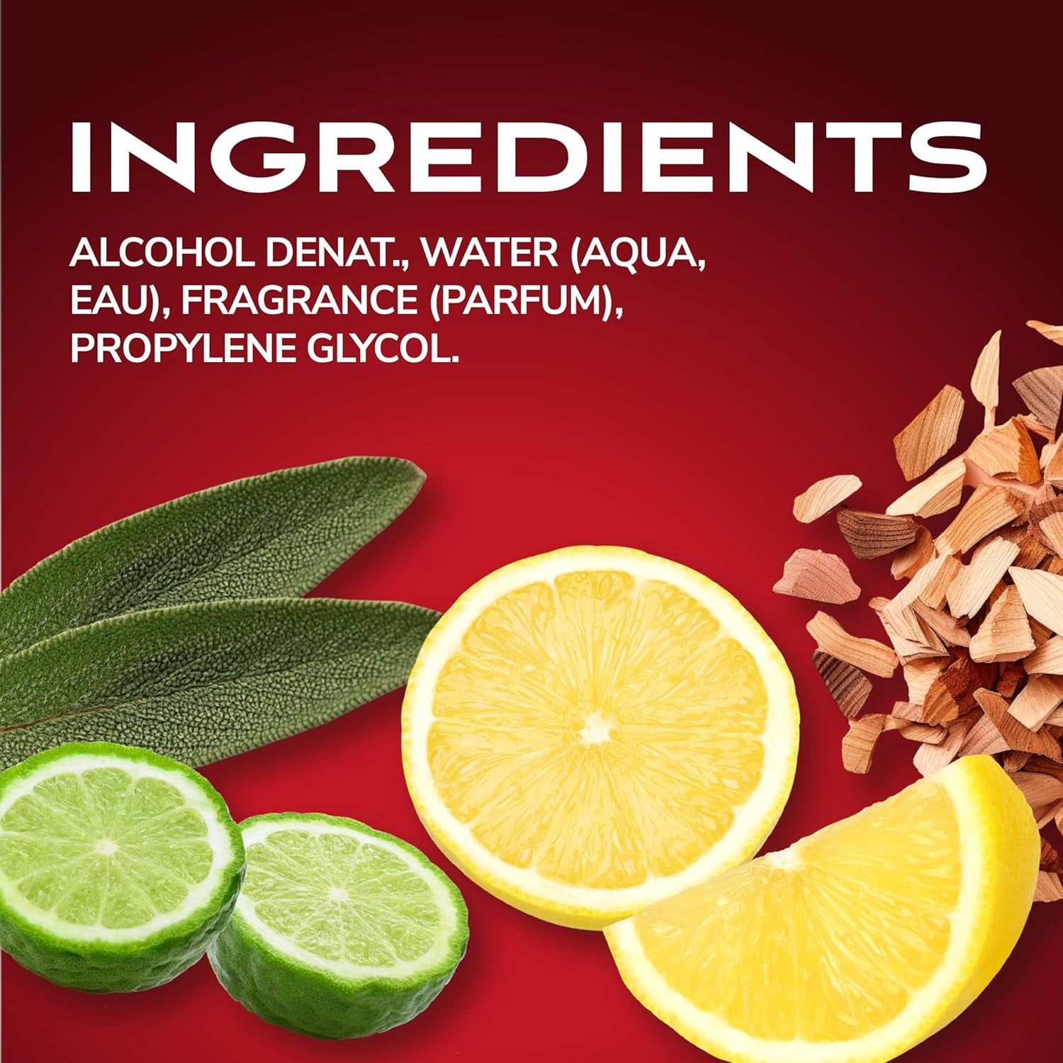 Parfums De Coeur  Most Wanted for Men Fragrance Body Spray, 8.0 Ounces