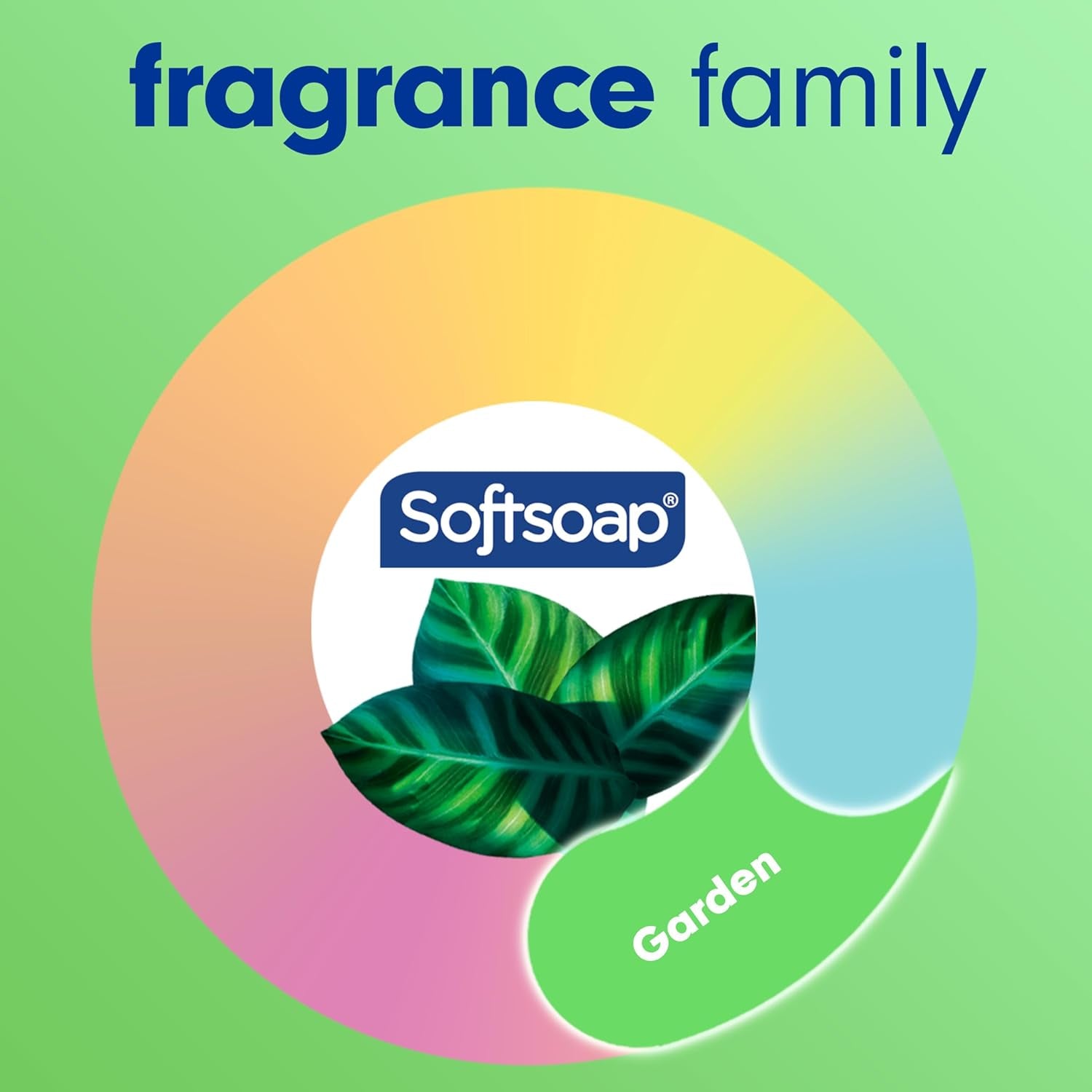 Moisturizing Liquid Hand Soap Pump, Aloe Vera, 221 Ml - Moisturising Hand Wash - Gentle Cleansing - Natural Hand Soap (Case Pack of 6)