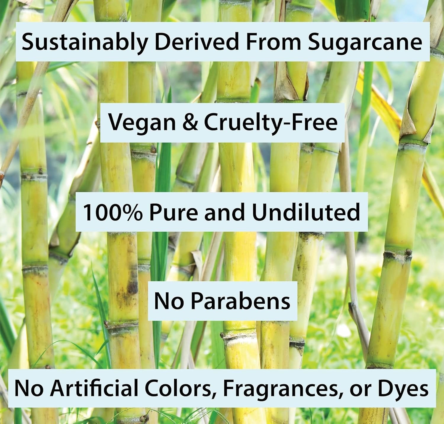 Squalane Oil Moisturizer with 100% Pure Plant Derived Squalane for Face Body Skin and Hair 2 Fl. Oz.